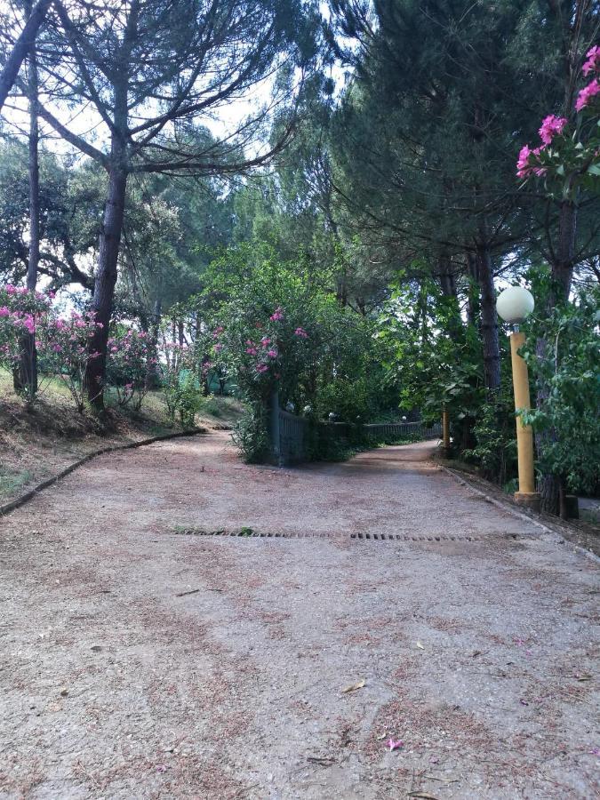 Finca Rural Labriega Del Hueznar Cazalla de la Sierra Exterior photo
